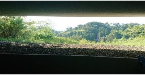 六甲枝垂れ　三分一博志