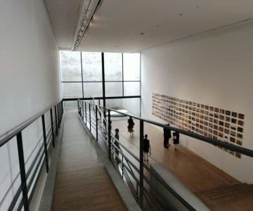 建築家安藤忠雄の設計によるベネッセハウスミュージアム