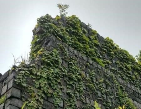 犬島精錬所美術館