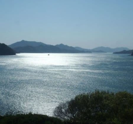 今治市伊東豊雄建築ミュージアム