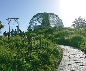 建築家三分一博志による六甲枝垂れ