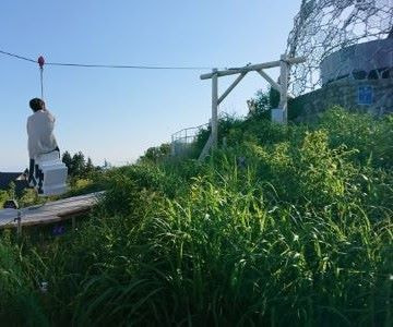 建築家三分一博志による六甲枝垂れ