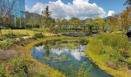 エミール・ガレの庭