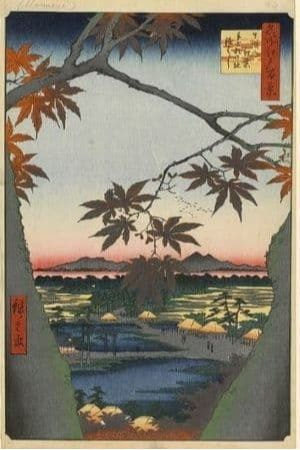 真間の紅葉手古那の社継はし