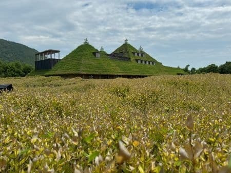 藤森照信によるラコリーナ近江八幡草屋根