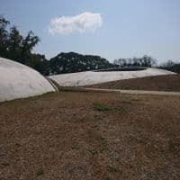山口県立図書館