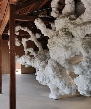 名和晃平「Biota」