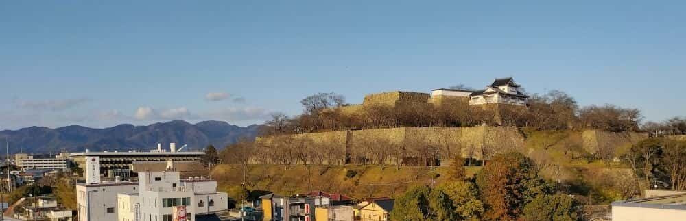 津山城からみた津山文化センター