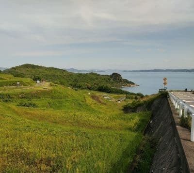 唐櫃地区　棚田