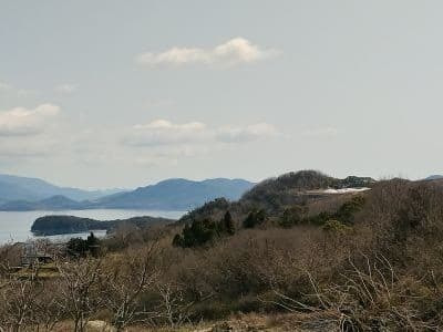 豊島美術館