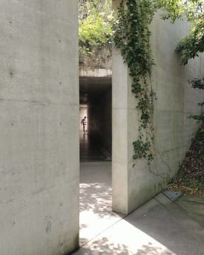 香川の名建築の一つ建築家安藤忠雄による地中美術館